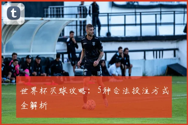 世界杯买球攻略：5种合法投注方式全解析