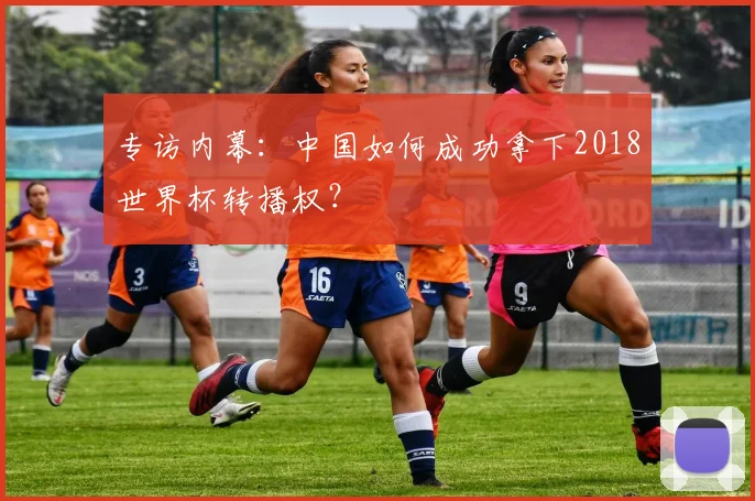 专访内幕：中国如何成功拿下2018世界杯转播权？