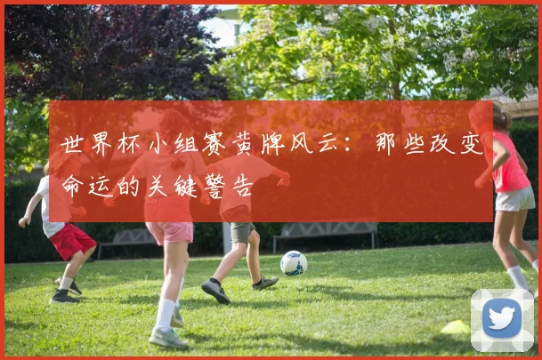 世界杯小组赛黄牌风云：那些改变命运的关键警告