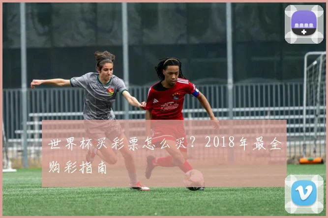 世界杯买彩票怎么买？2018年最全购彩指南