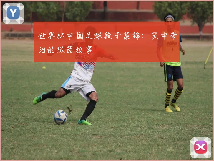 世界杯中国足球段子集锦：笑中带泪的绿茵故事